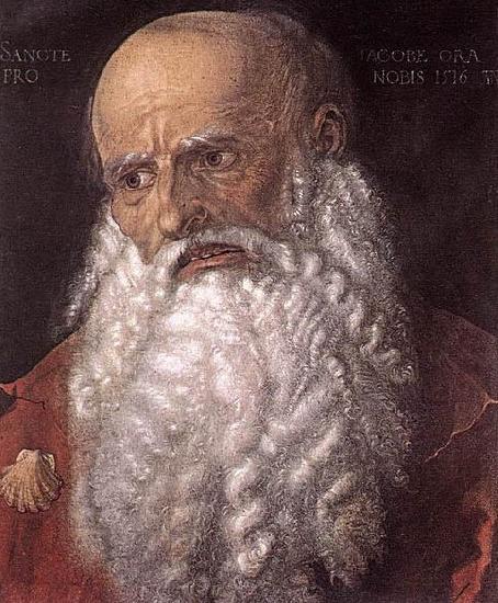 Albrecht Durer The Apostle James the Elder oil painting picture